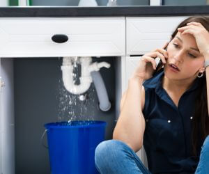 About Emergency plumbing pros Sunfield, MI